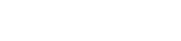 Insight Net Logo